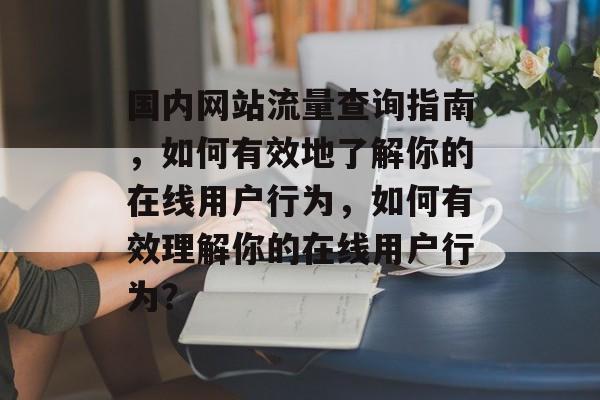 国内网站流量查询指南，如何有效地了解你的在线用户行为，如何有效理解你的在线用户行为？