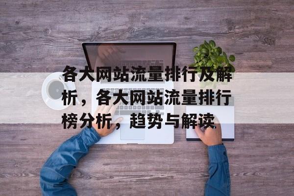 各大网站流量排行及解析，各大网站流量排行榜分析，趋势与解读