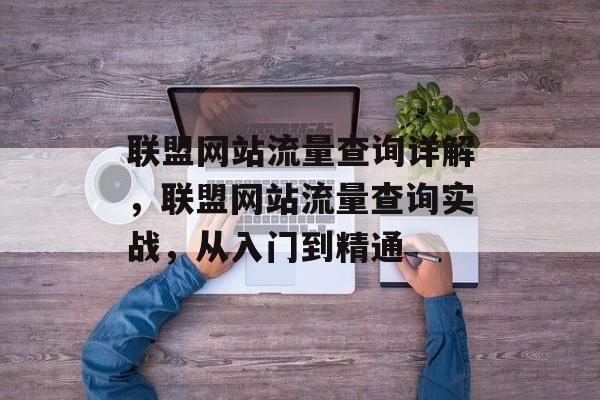 联盟网站流量查询详解，联盟网站流量查询实战，从入门到精通