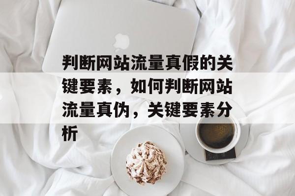 判断网站流量真假的关键要素，如何判断网站流量真伪，关键要素分析