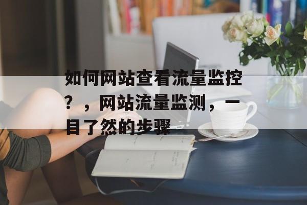 如何网站查看流量监控？，网站流量监测，一目了然的步骤