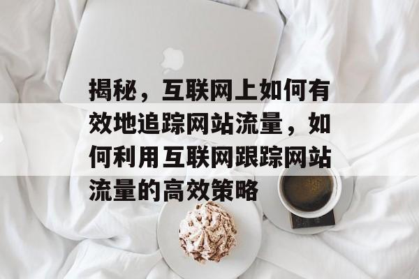 揭秘，互联网上如何有效地追踪网站流量，如何利用互联网跟踪网站流量的高效策略