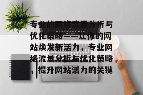 专业的网络流量分析与优化策略——让你的网站焕发新活力，专业网络流量分析与优化策略，提升网站活力的关键