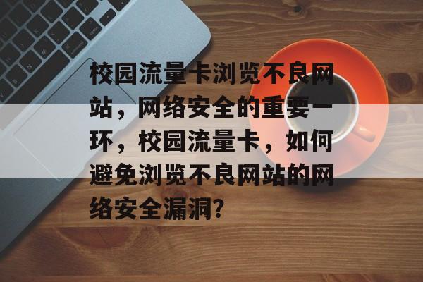 校园流量卡浏览不良网站，网络安全的重要一环，校园流量卡，如何避免浏览不良网站的网络安全漏洞？