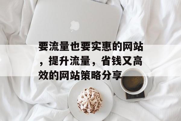 要流量也要实惠的网站，提升流量，省钱又高效的网站策略分享