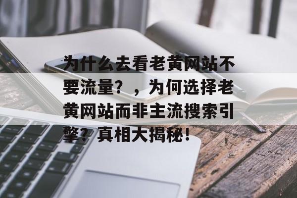 为什么去看老黄网站不要流量？，为何选择老黄网站而非主流搜索引擎？真相大揭秘！