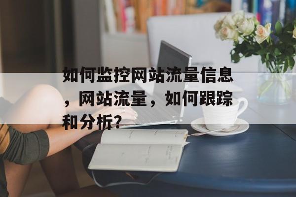 如何监控网站流量信息，网站流量，如何跟踪和分析？