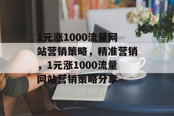 1元涨1000流量网站营销策略，精准营销，1元涨1000流量网站营销策略分享