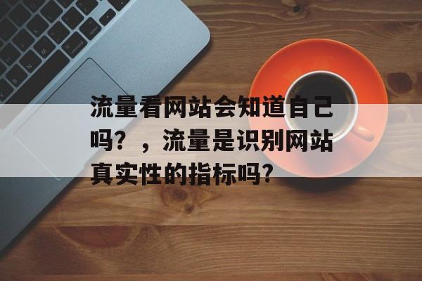 流量看网站会知道自己吗？，流量是识别网站真实性的指标吗?