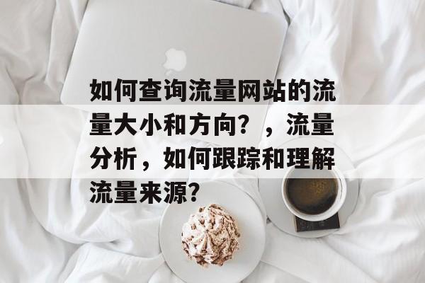 如何查询流量网站的流量大小和方向？，流量分析，如何跟踪和理解流量来源？